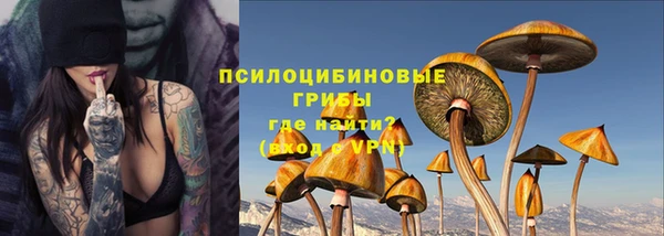 шишки Нея