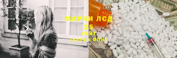 шишки Нея