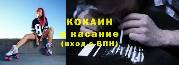 шишки Нея