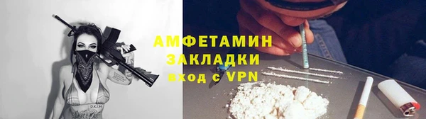 шишки Нея