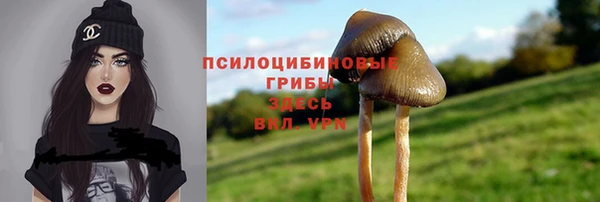 мдма Новодвинск
