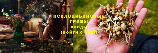 гидра Нефтекумск