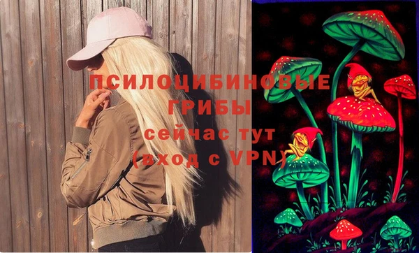 шишки Нея